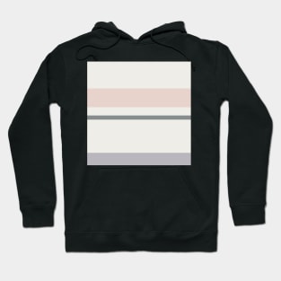 A refined setup of Very Light Pink, Philippine Gray, Silver and Lotion Pink stripes. Hoodie